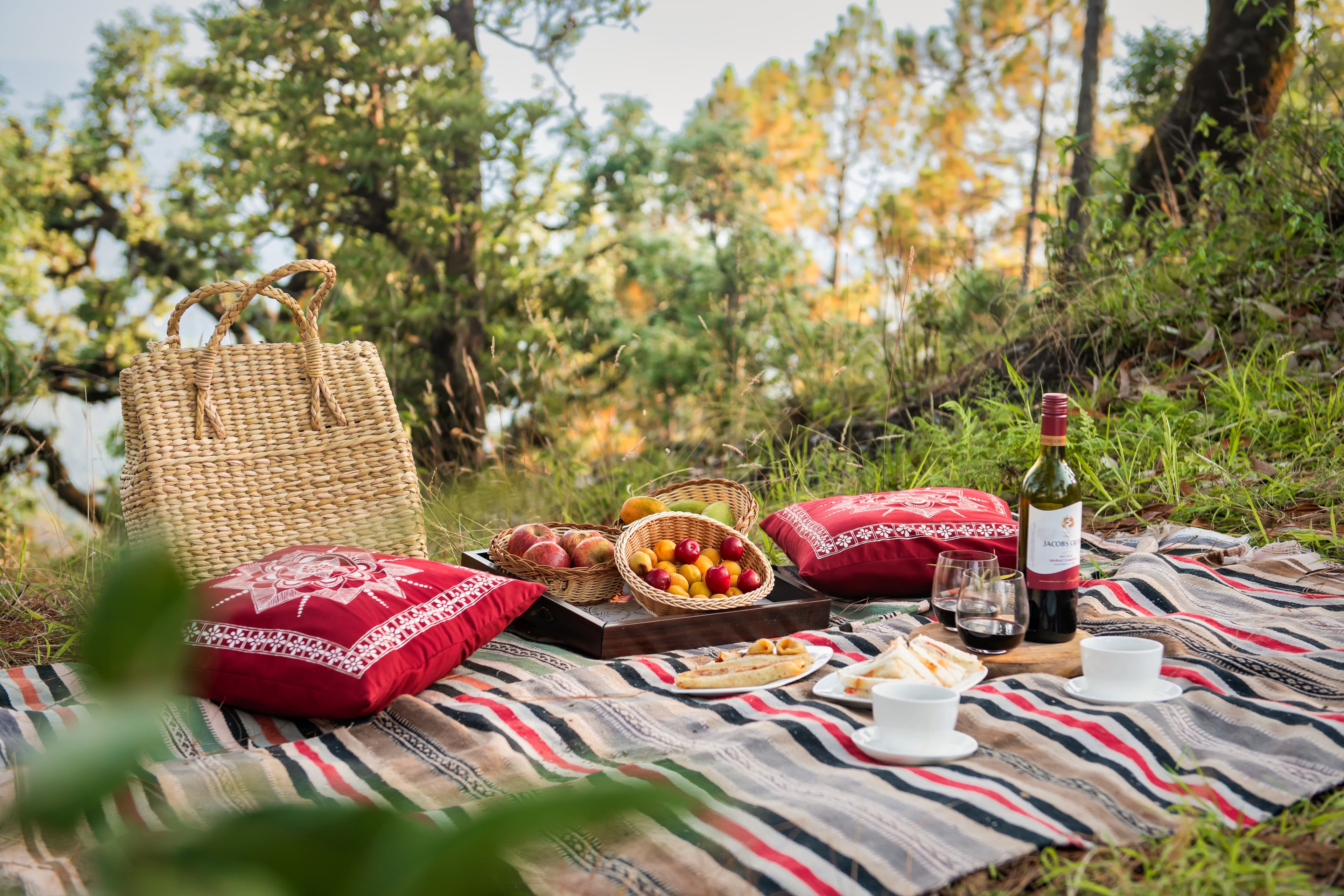 Picnic in the forest