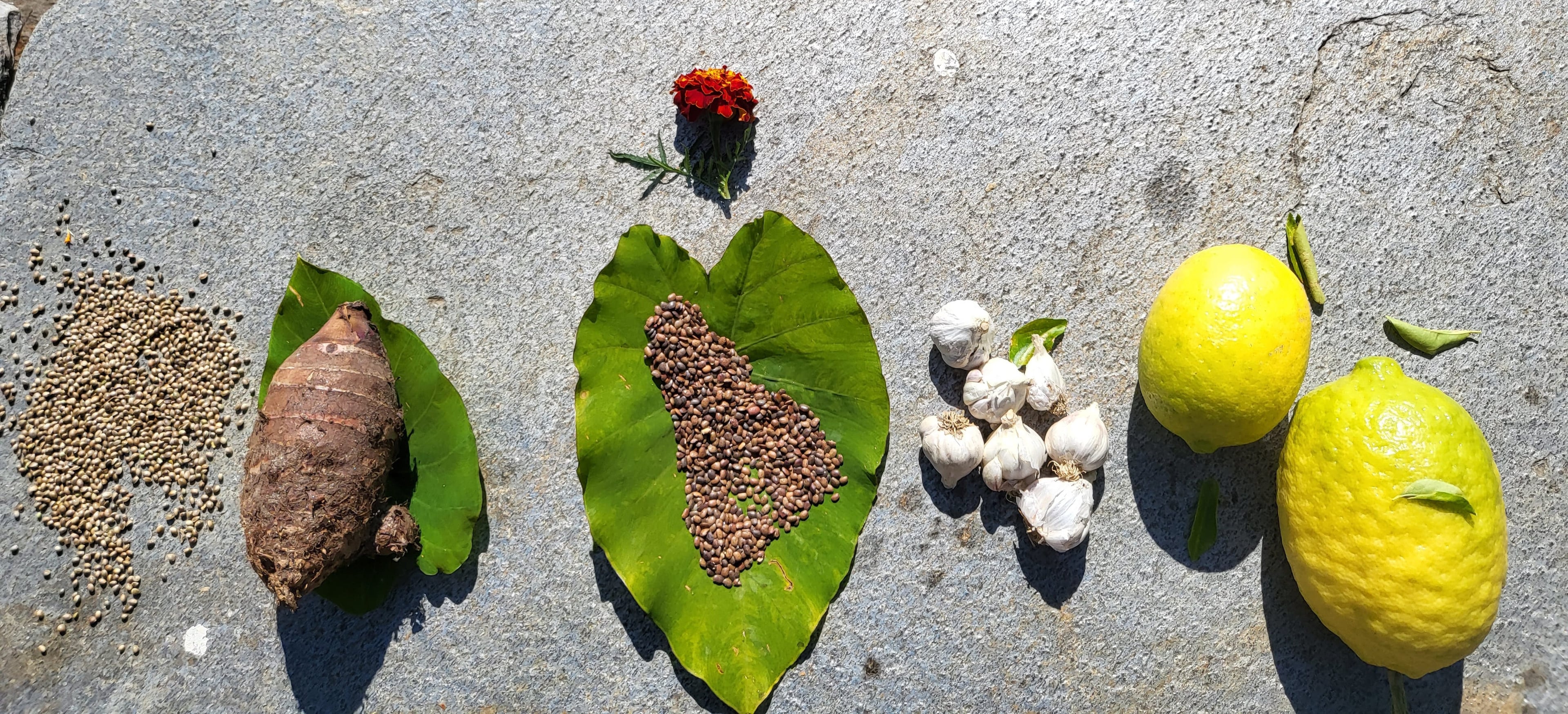 Spices from the Kumaon market